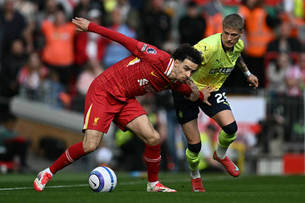 成功的预演 成功的预演