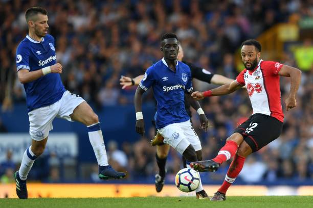 公牛隊的表 公牛隊的表