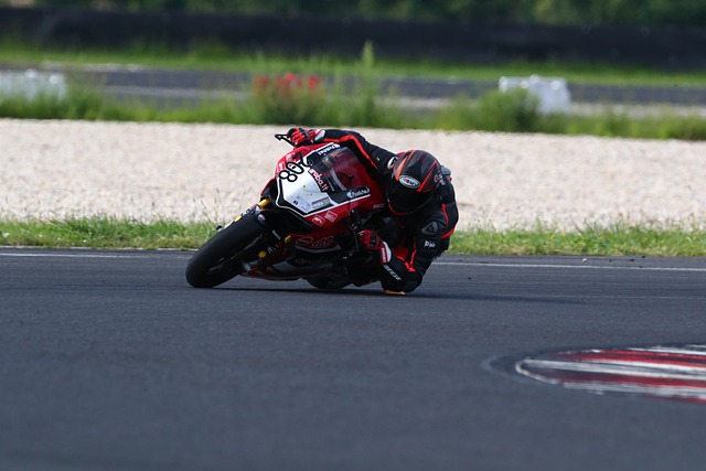 生涯的重要 生涯的重要